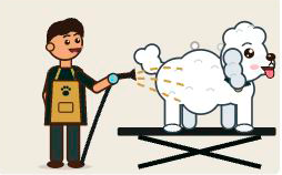 Groomer blow-drying a poodle on the lift table
