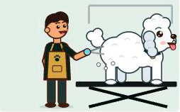 Groomer trimming a poodle on the electric lift table